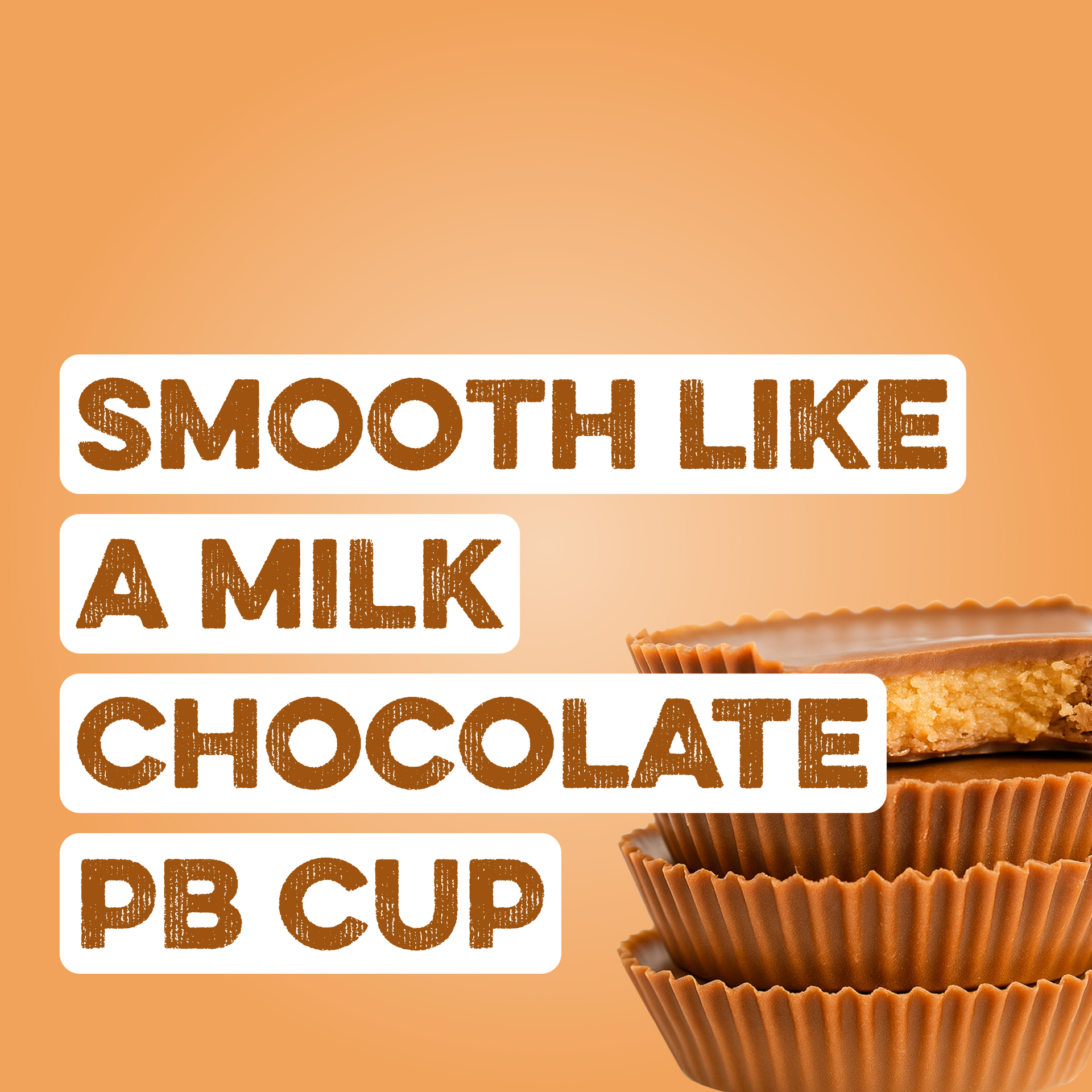 Protein Powder: Chocolate Peanut Butter (Single Serving Stick Pack Sample)