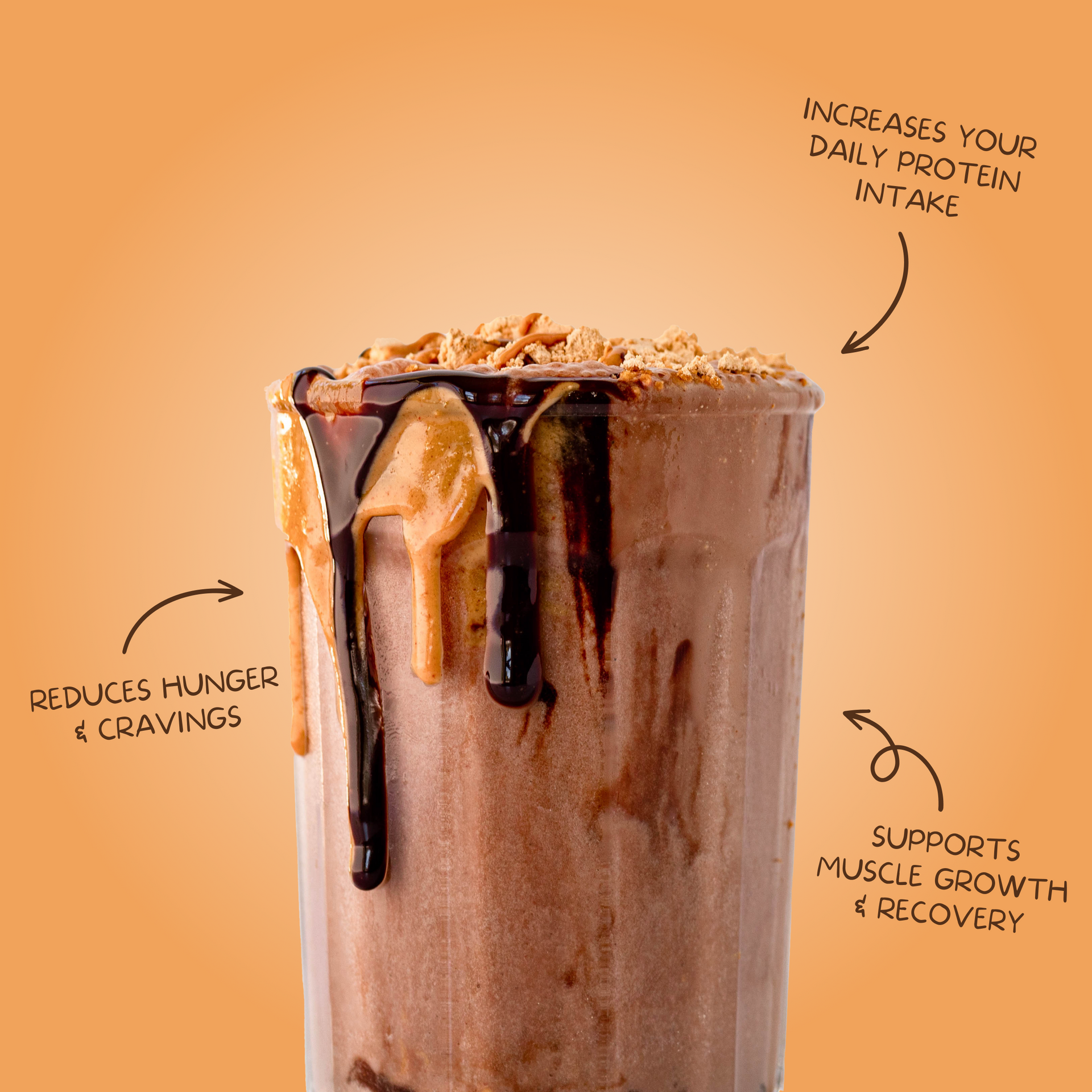 Protein Powder: Chocolate Peanut Butter (Single Serving Stick Pack Sample)