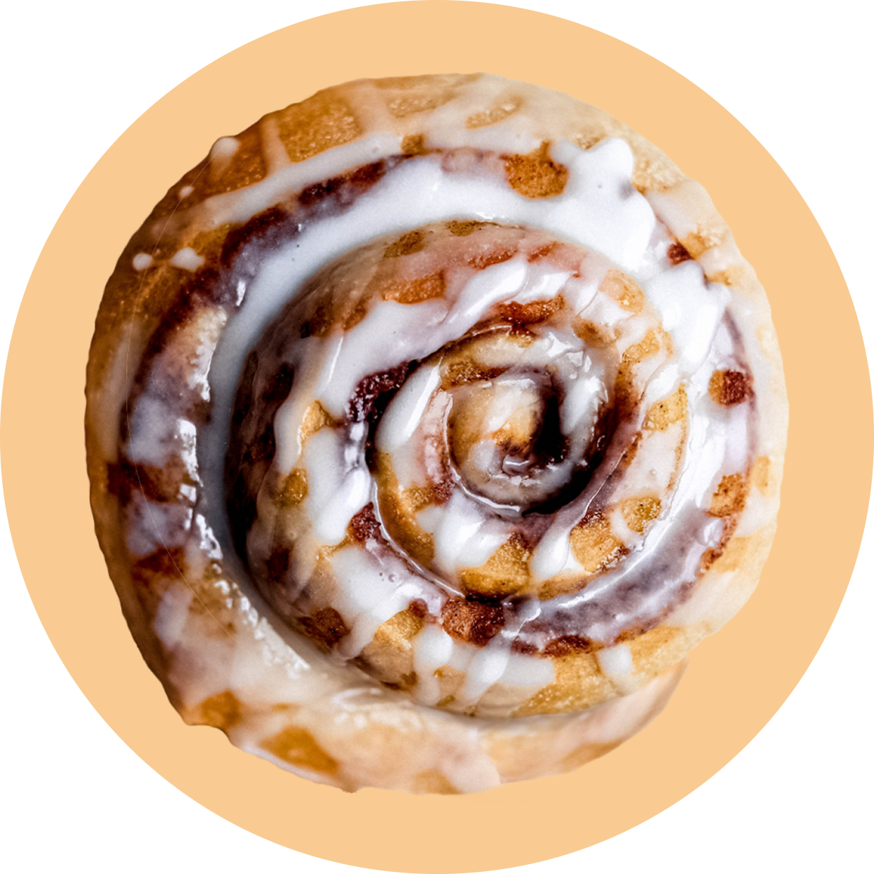 Protein Powder: Cinnamon Roll (12 Serving Bag)