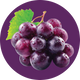Clear Protein Soda: Classic Grape (16 Oz. | 12 Pack)