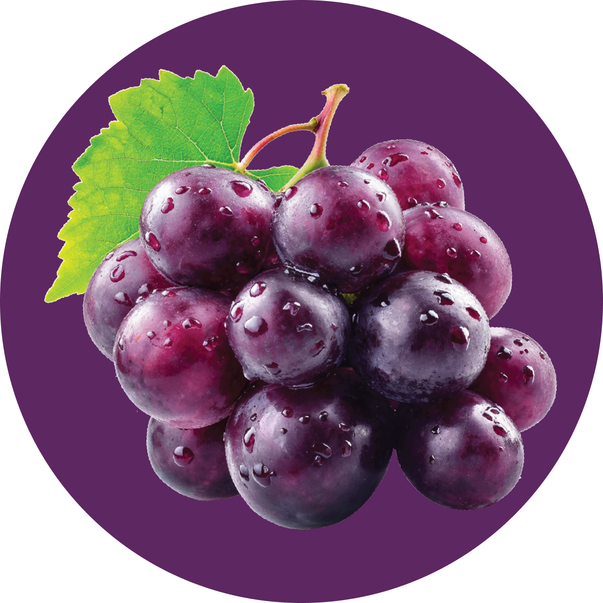 Clear Protein Soda: Classic Grape (16 oz | 12 Pack)