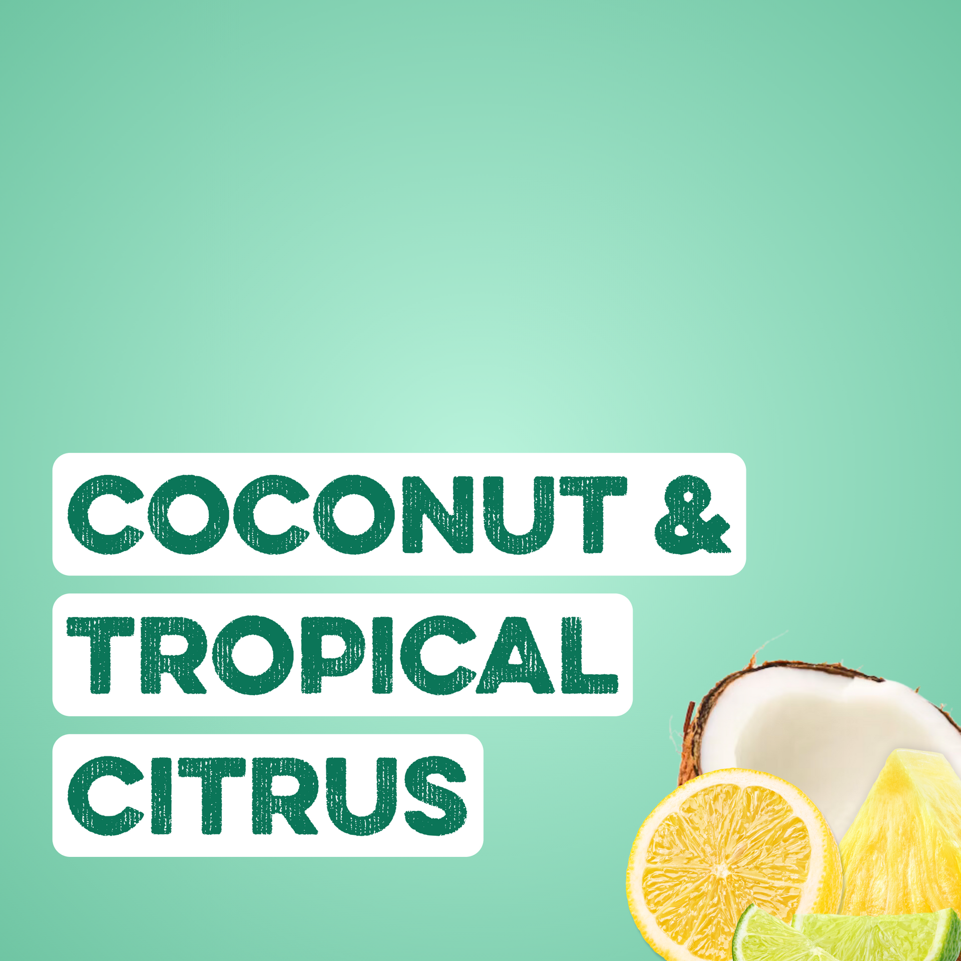 Clear Protein + Energy: Coastal Crush (12 Pack)