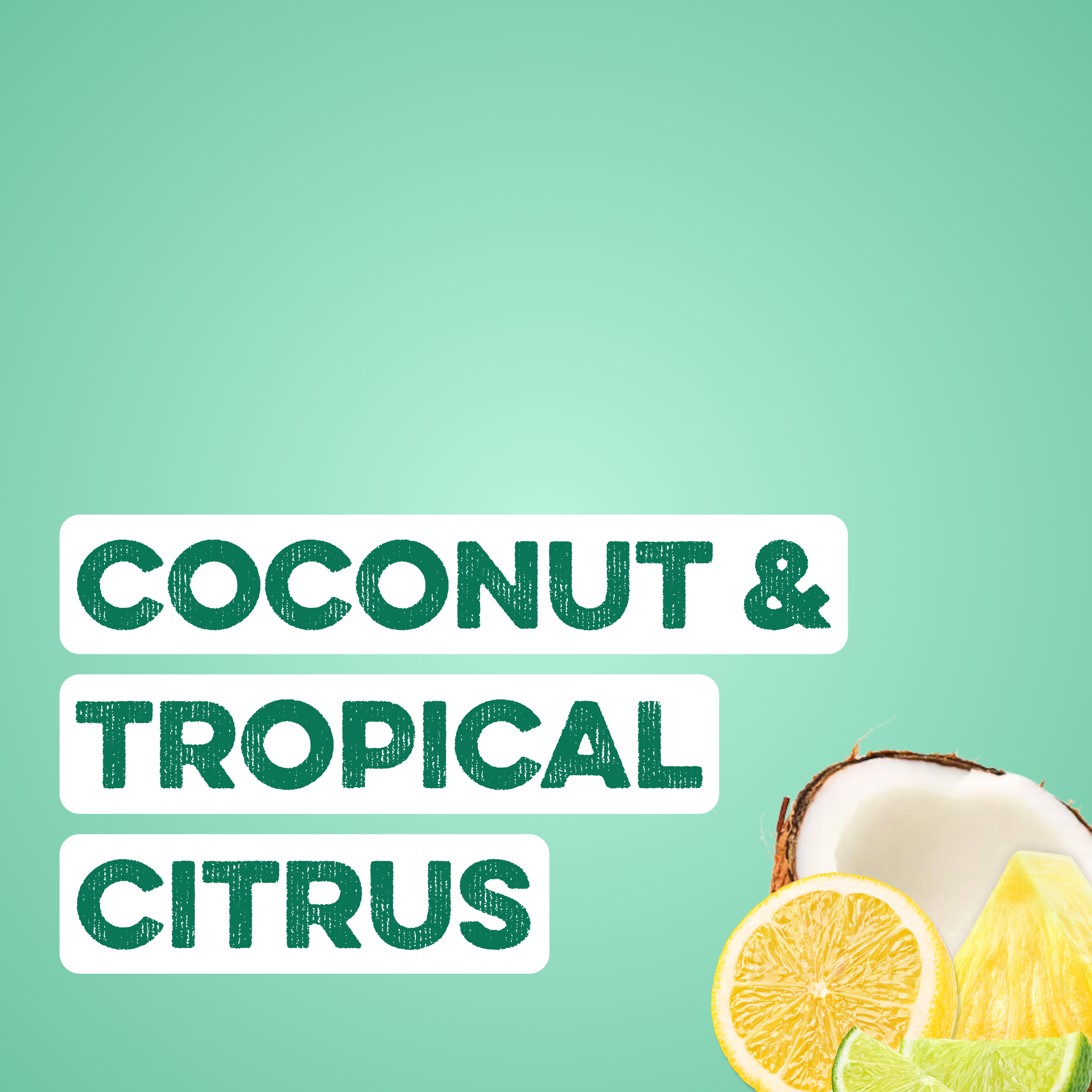 Clear Protein + Energy: Coastal Crush (12 Pack)