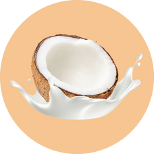 Clear Protein: Coconut Créme (12 Serving)