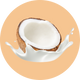 Clear Protein Water: Coconut Créme (16 Oz. | 12 Pack)