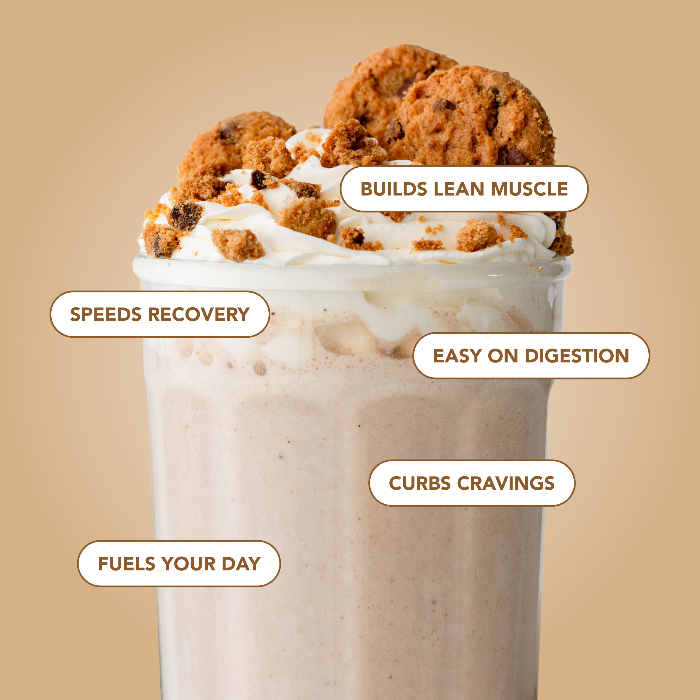 Protein Powder: Cookie Dough (12 Serving Bag)