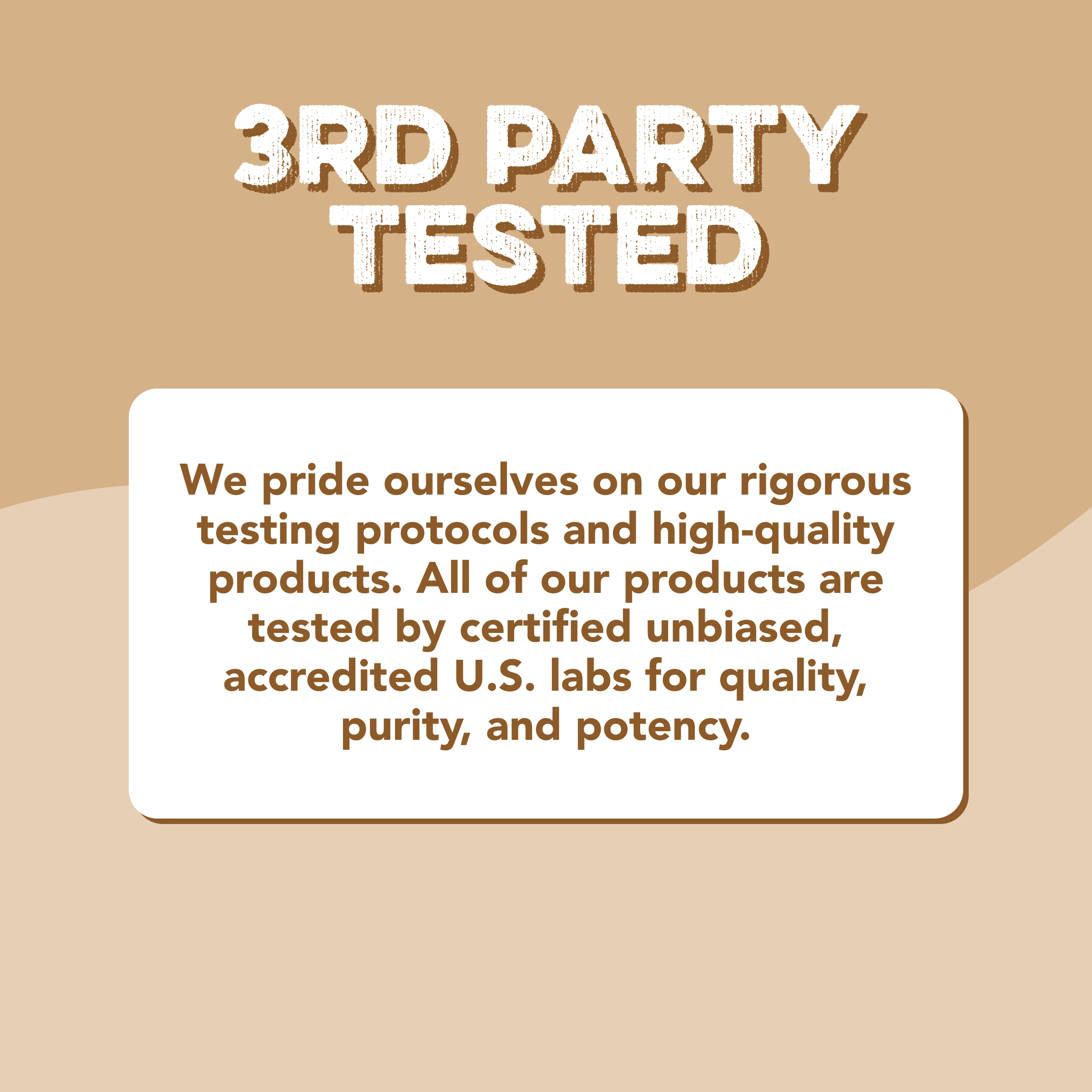 Protein Powder: Cookie Dough (12 Serving Bag)