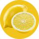 Clear Protein Soda: Frosted Lemonade (16 Oz. | 12 Pack)