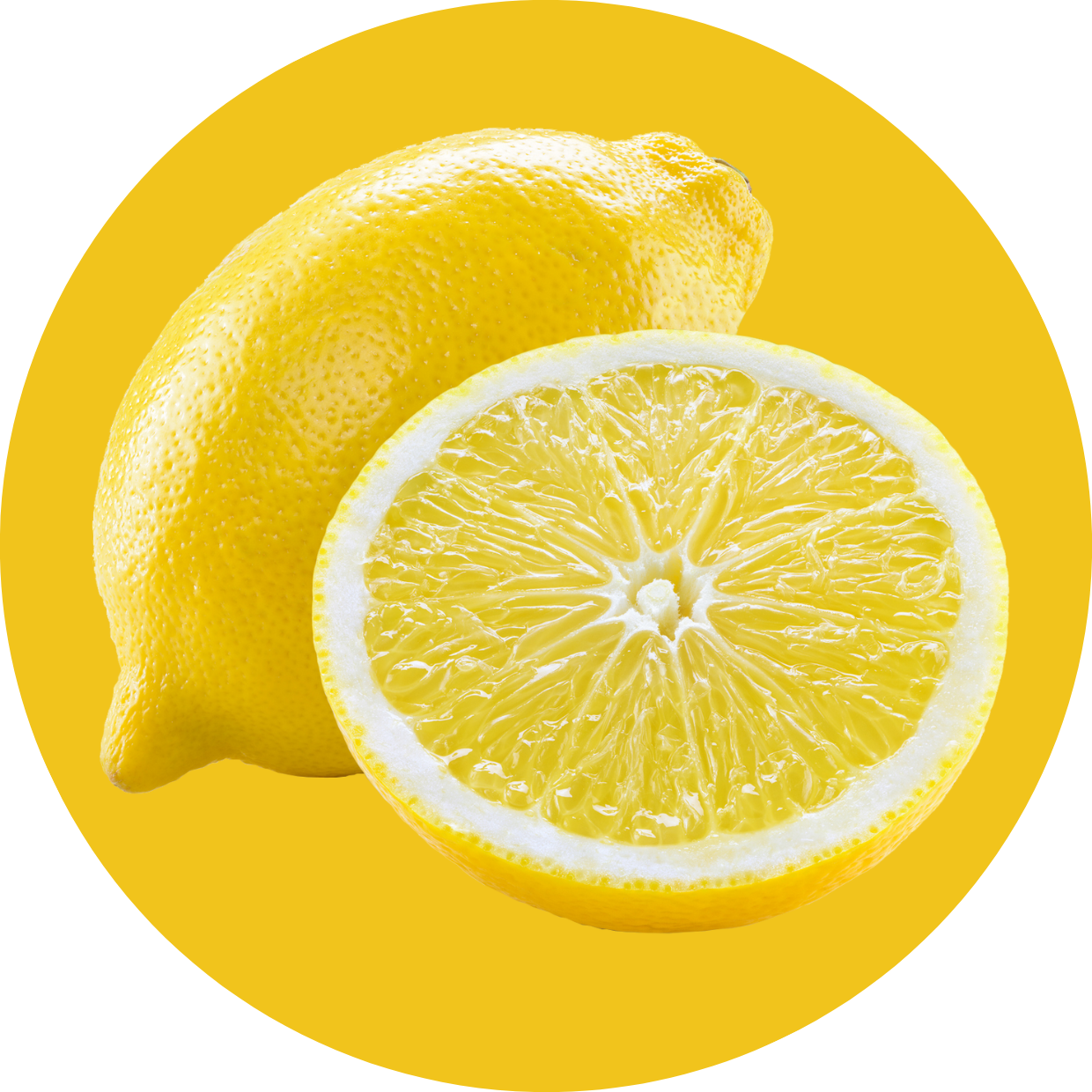 Clear Protein Soda: Frosted Lemonade (16oz | 12 Pack)