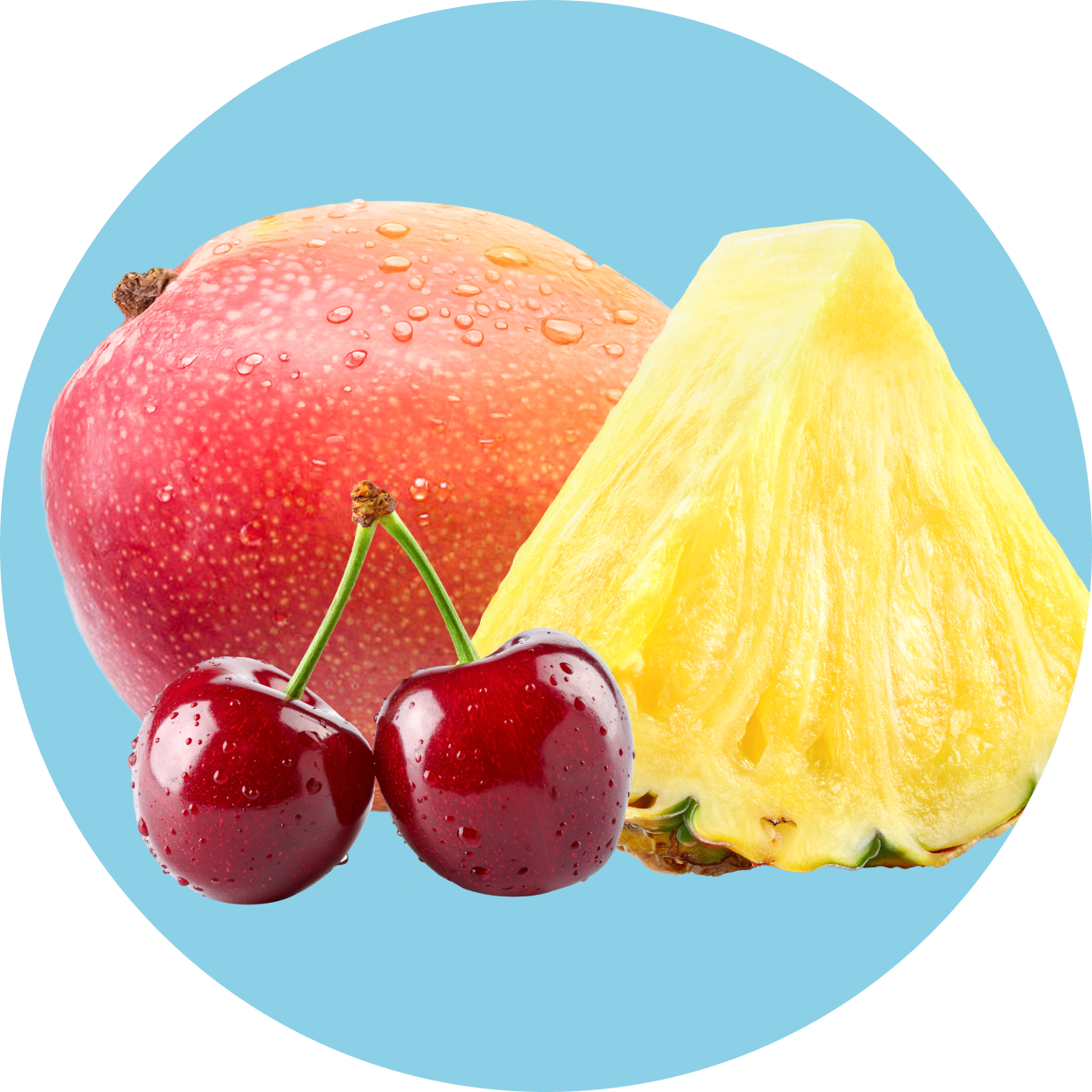 Clear Protein Powder: Fruit Punch (10 Serving)