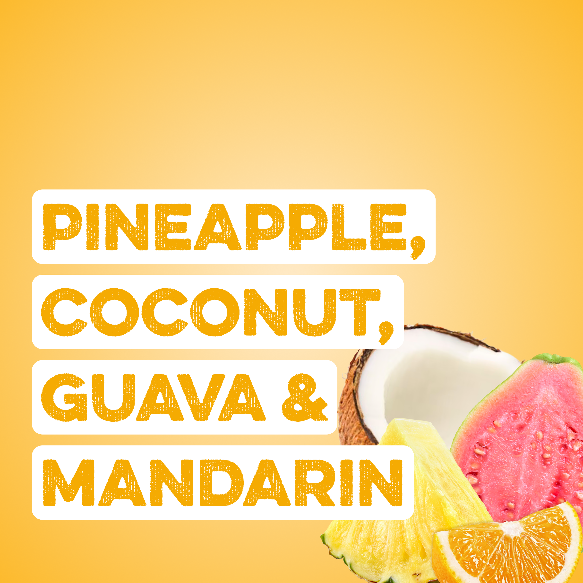 Energy + Focus: Island Sunrise (12-pack)