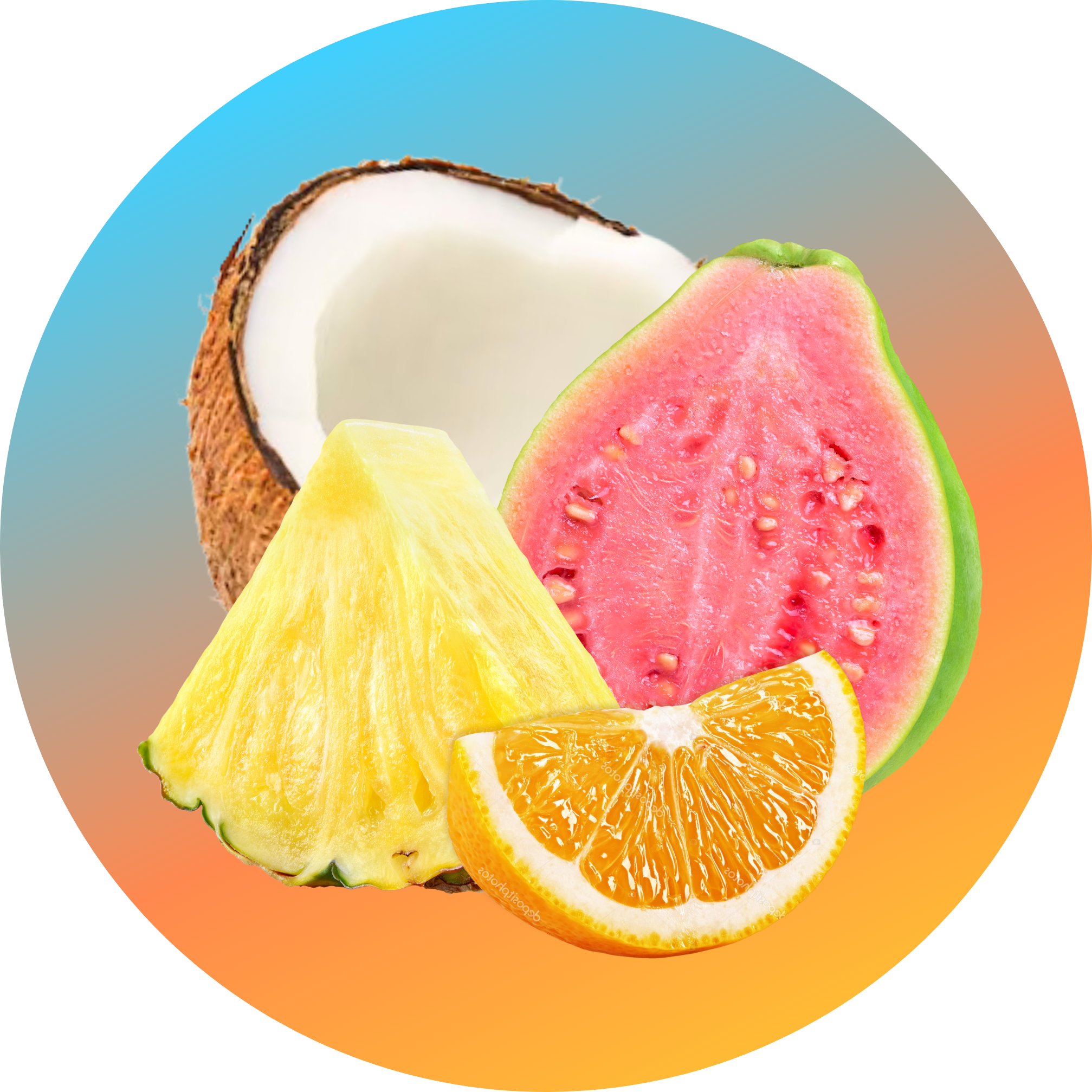 Energy + Focus: Island Sunrise (12-pack)