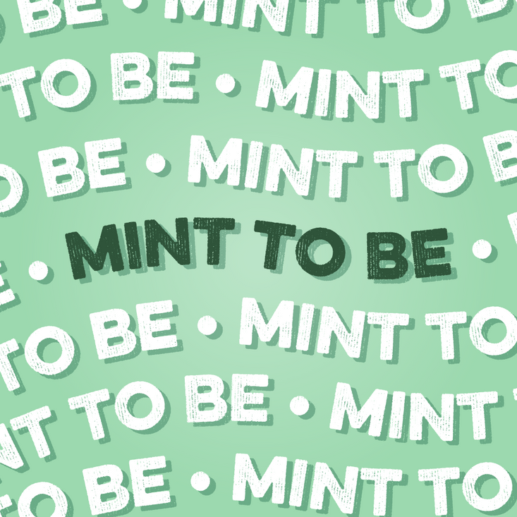 Protein Powder: Mint Chocolate Cookie (30 Serving Bag)