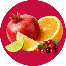 Energy + Focus: North Pole Punch (12-pack)