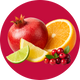 Energy + Focus: North Pole Punch (12-pack)