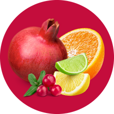 Energy + Focus: North Pole Punch (12-pack)