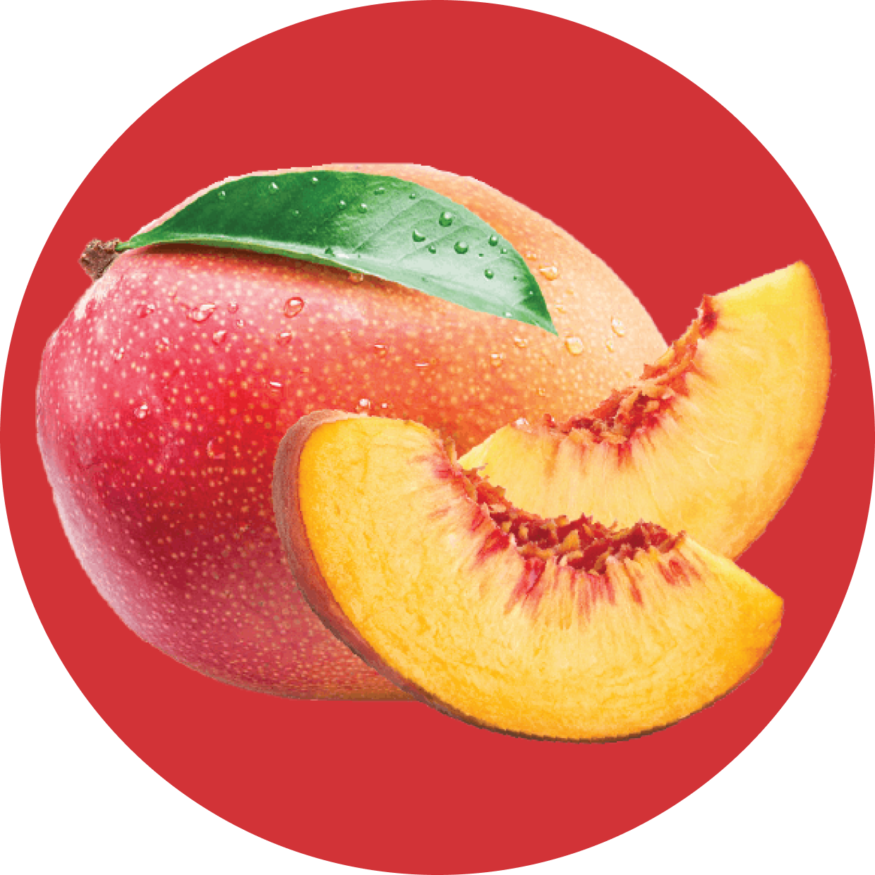 Clear Protein Water: Peach Mango Creme (12 Pack)