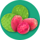 Clear Protein Water: Prickly Pear (16 Oz. | 12 Pack)