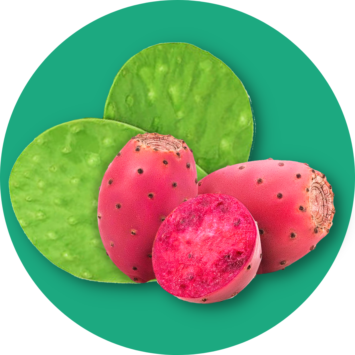 Clear Protein Water: Prickly Pear (12 Pack)