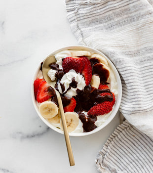 Protein Hot Fudge Sundae