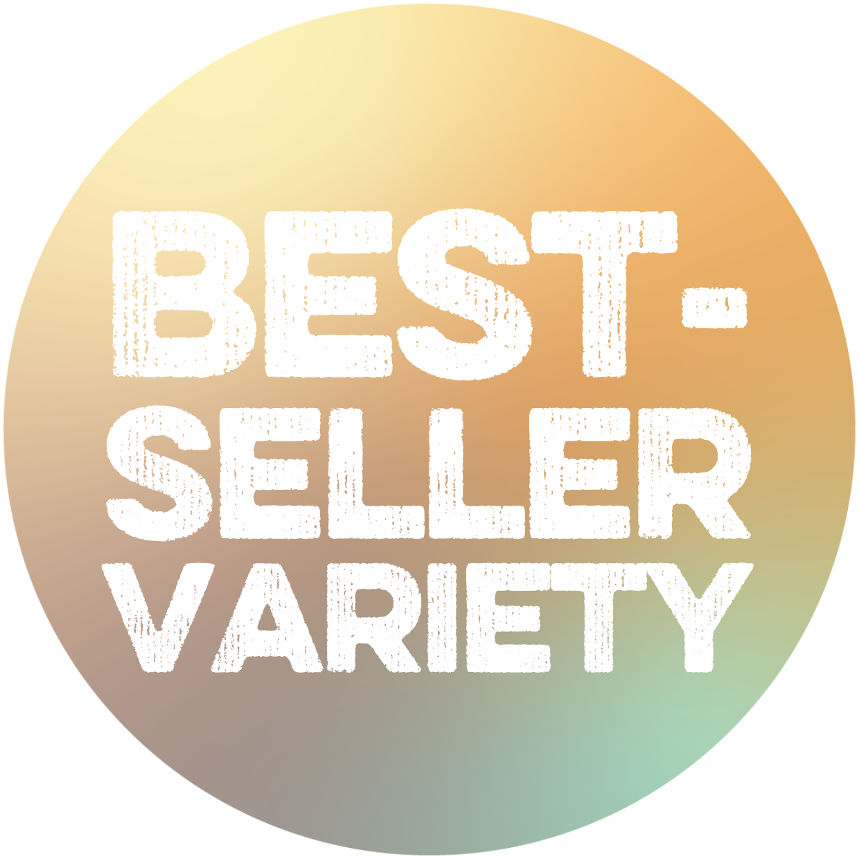 Protein Powder Best-Seller Variety Pack