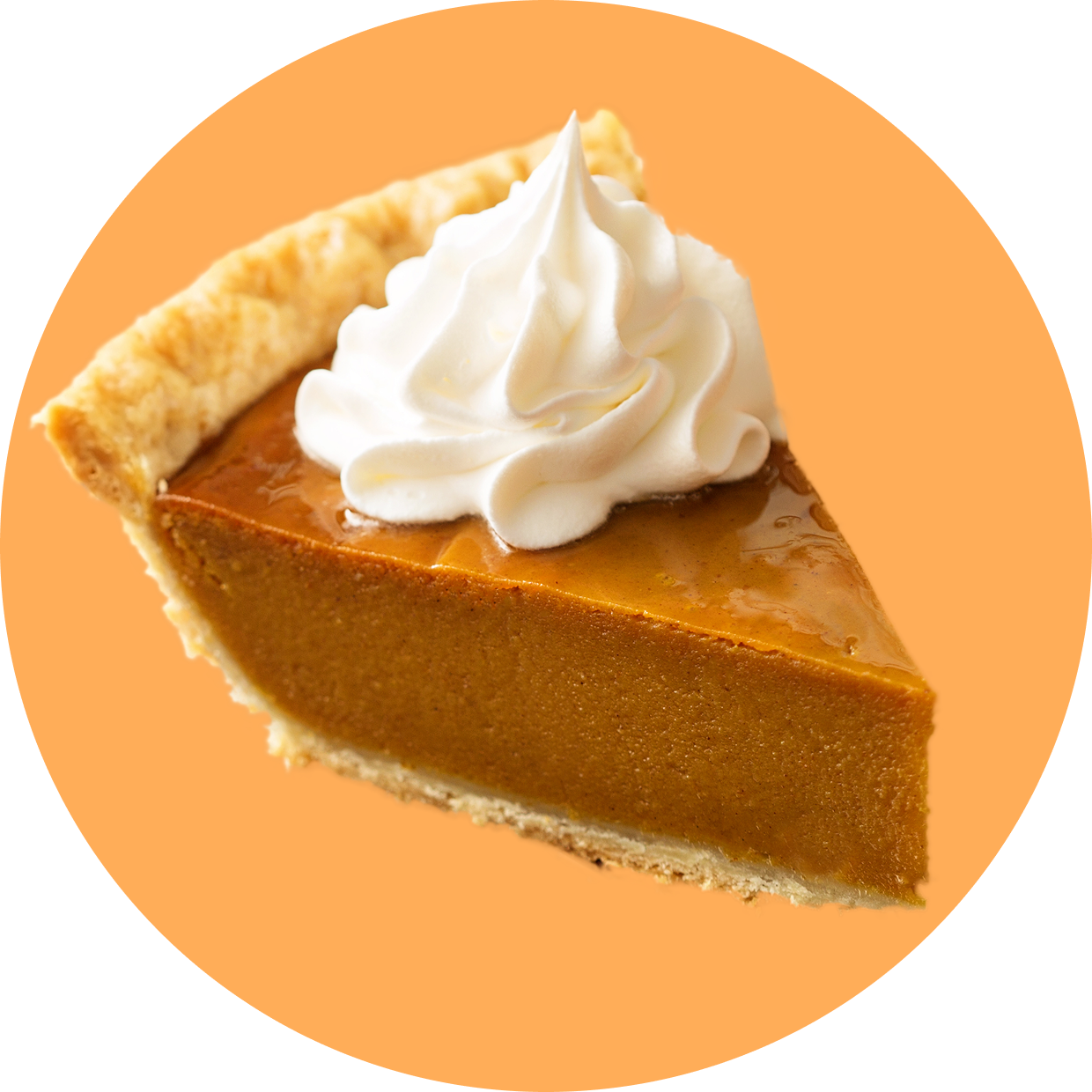 Protein Powder: Pumpkin Pie (30 Serving Bag)