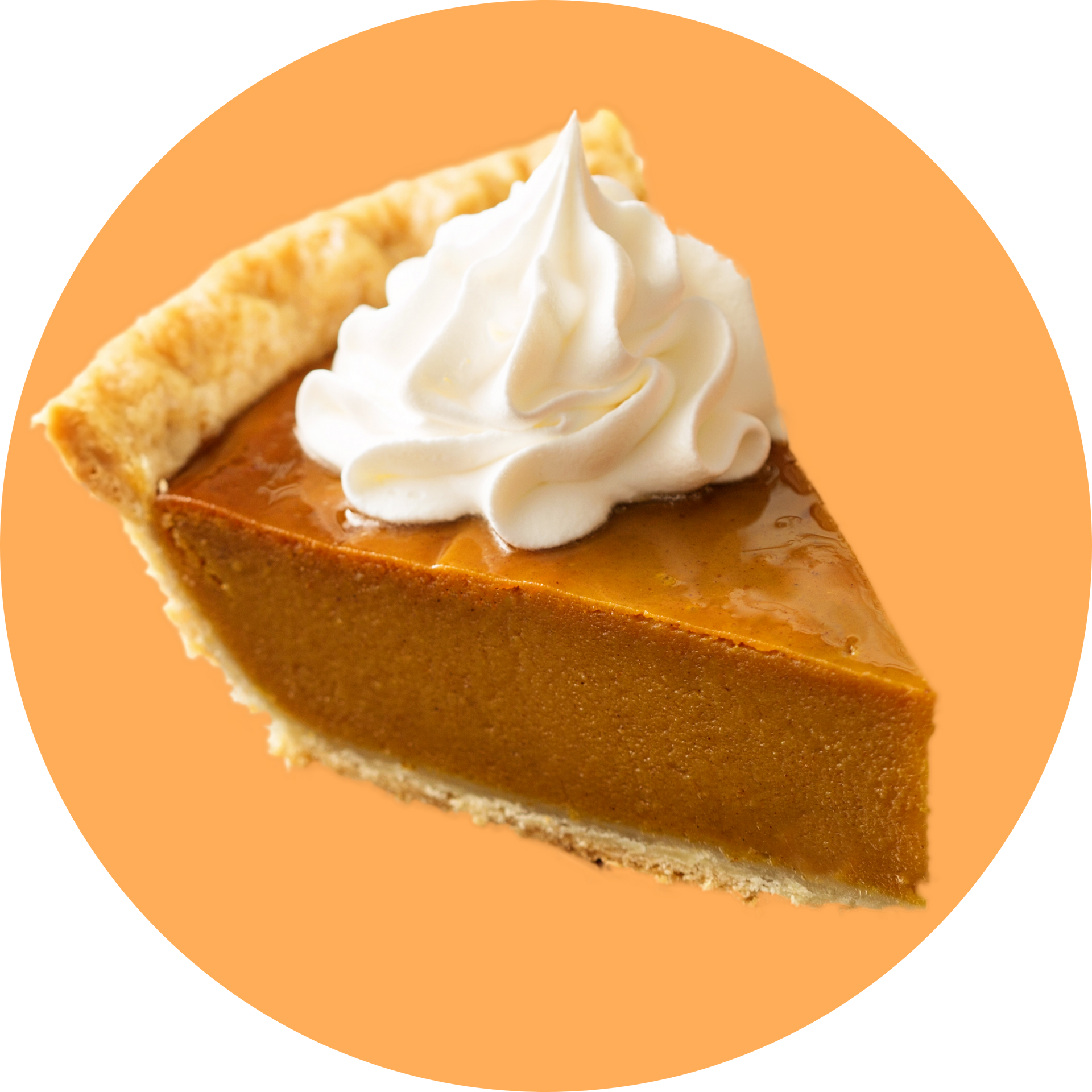 Protein Powder: Pumpkin Pie (30 Serving Bag)