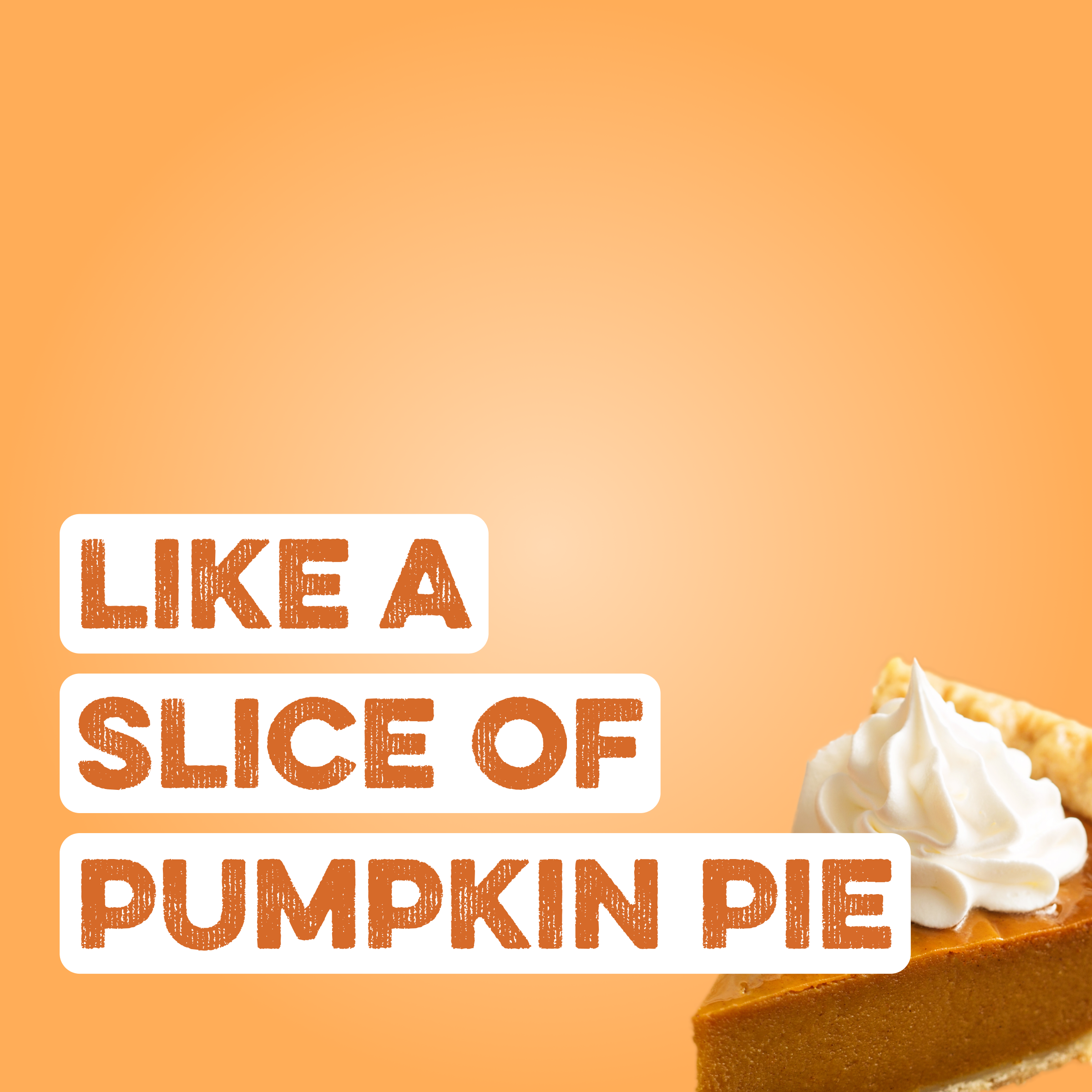 Protein Powder: Pumpkin Pie (30 Serving Bag)