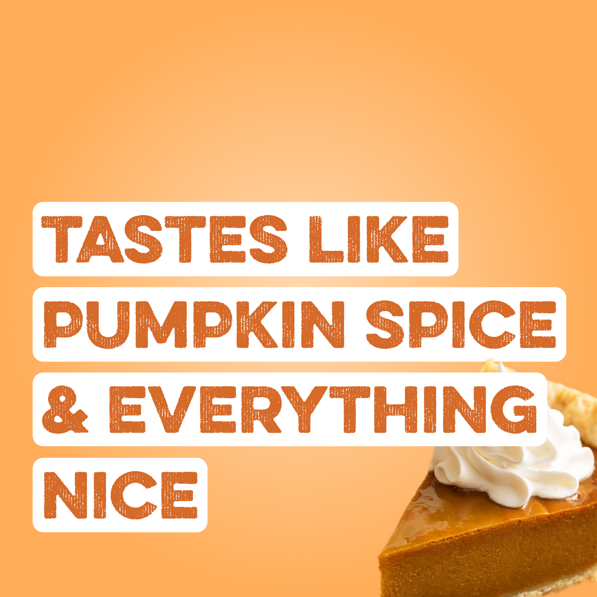 Protein Powder: Pumpkin Pie (30 Serving Bag)
