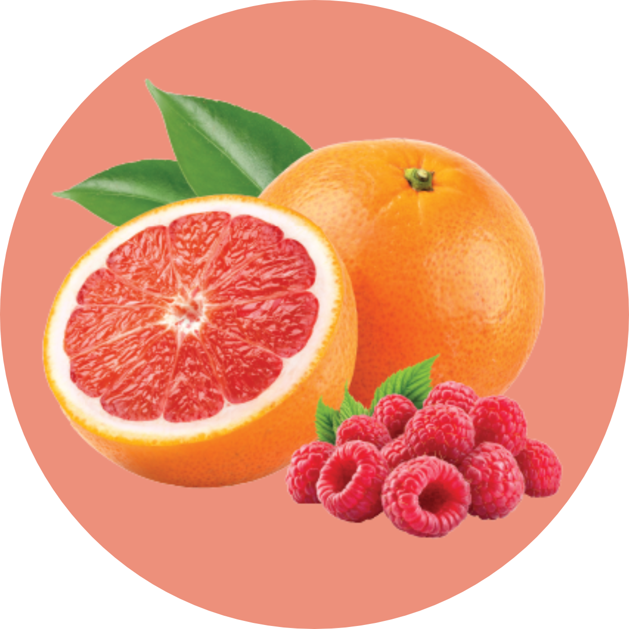 Collagen + Beauty Blend: Ruby Red Raspberry (10 Single Serving Stick Pack)