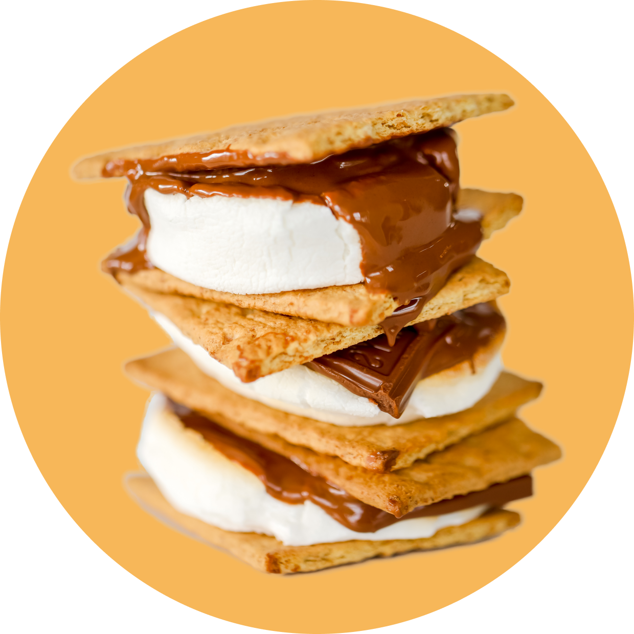Protein Powder: S'mores (10 Serving Bag)