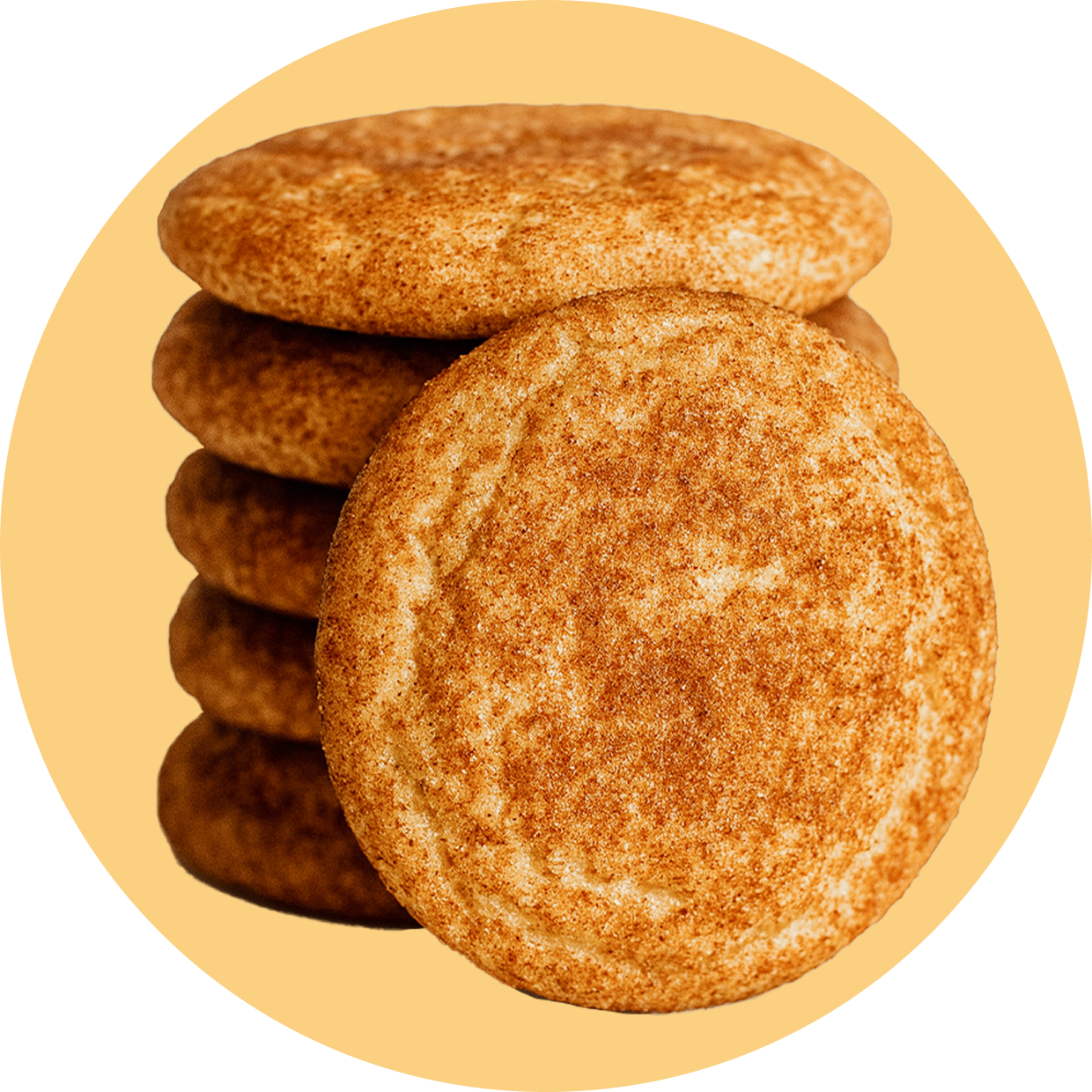 Protein Powder: Snickerdoodle (30 Serving Bag)