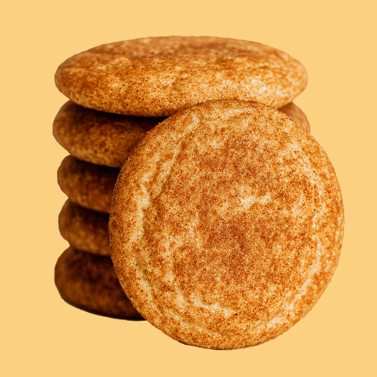 Protein Powder: Snickerdoodle (30 Serving Bag)