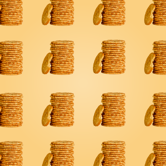 Protein Powder: Snickerdoodle (10 Single Serving Stick Packs)