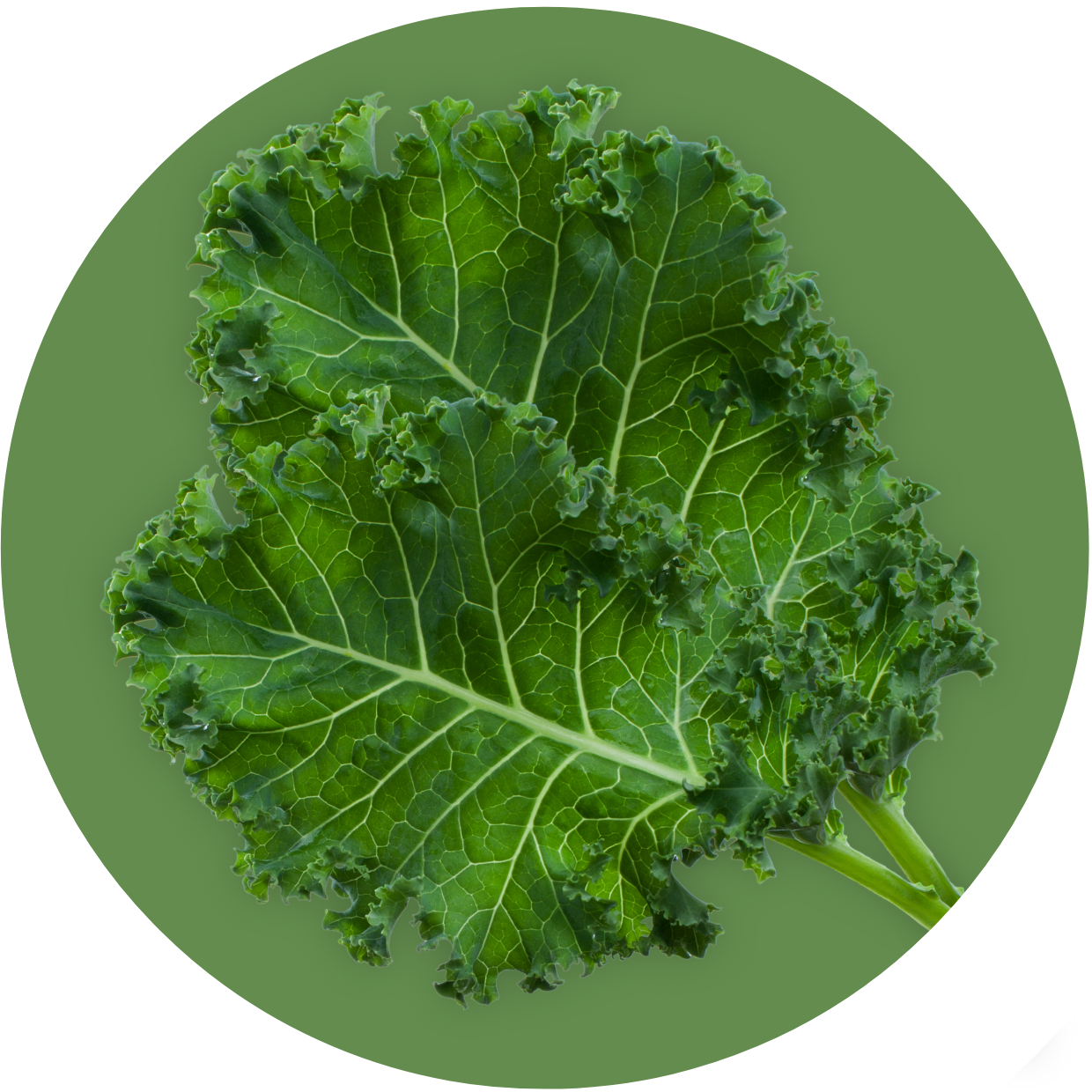 Greens: Super Greens Mix