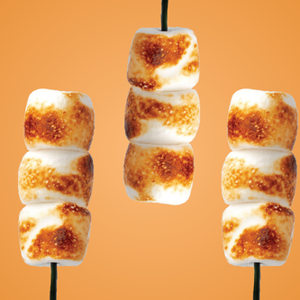 Protein Powder: Toasted Marshmallow (30 Serving)