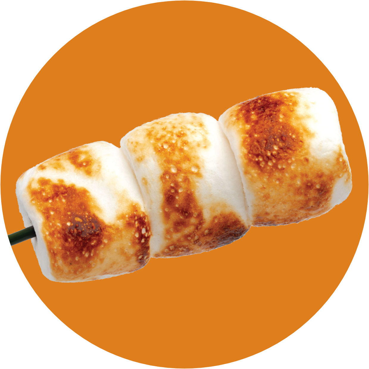 Protein Powder: Toasted Marshmallow (30 Serving)