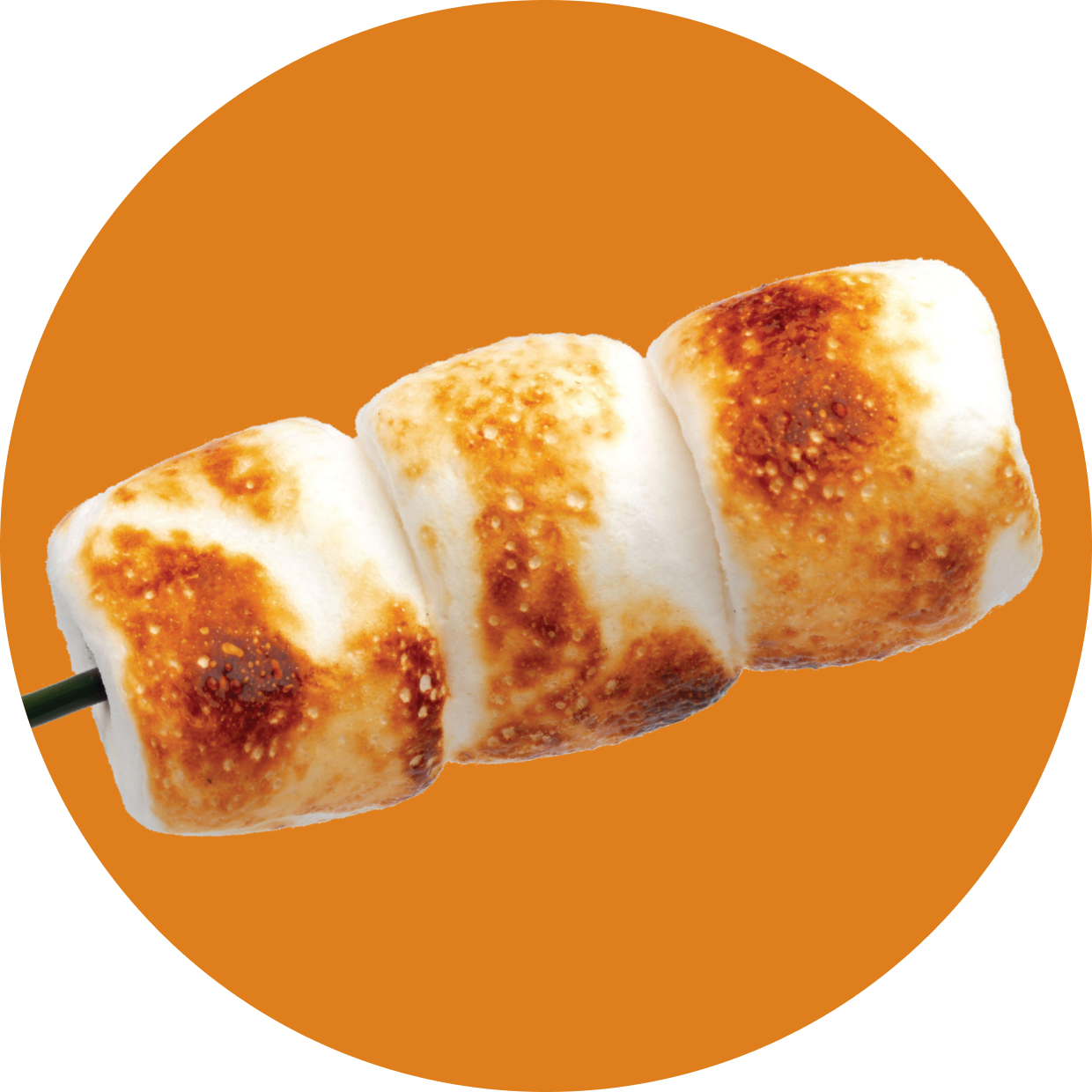 Protein Powder: Toasted Marshmallow (20 Serving Bag)