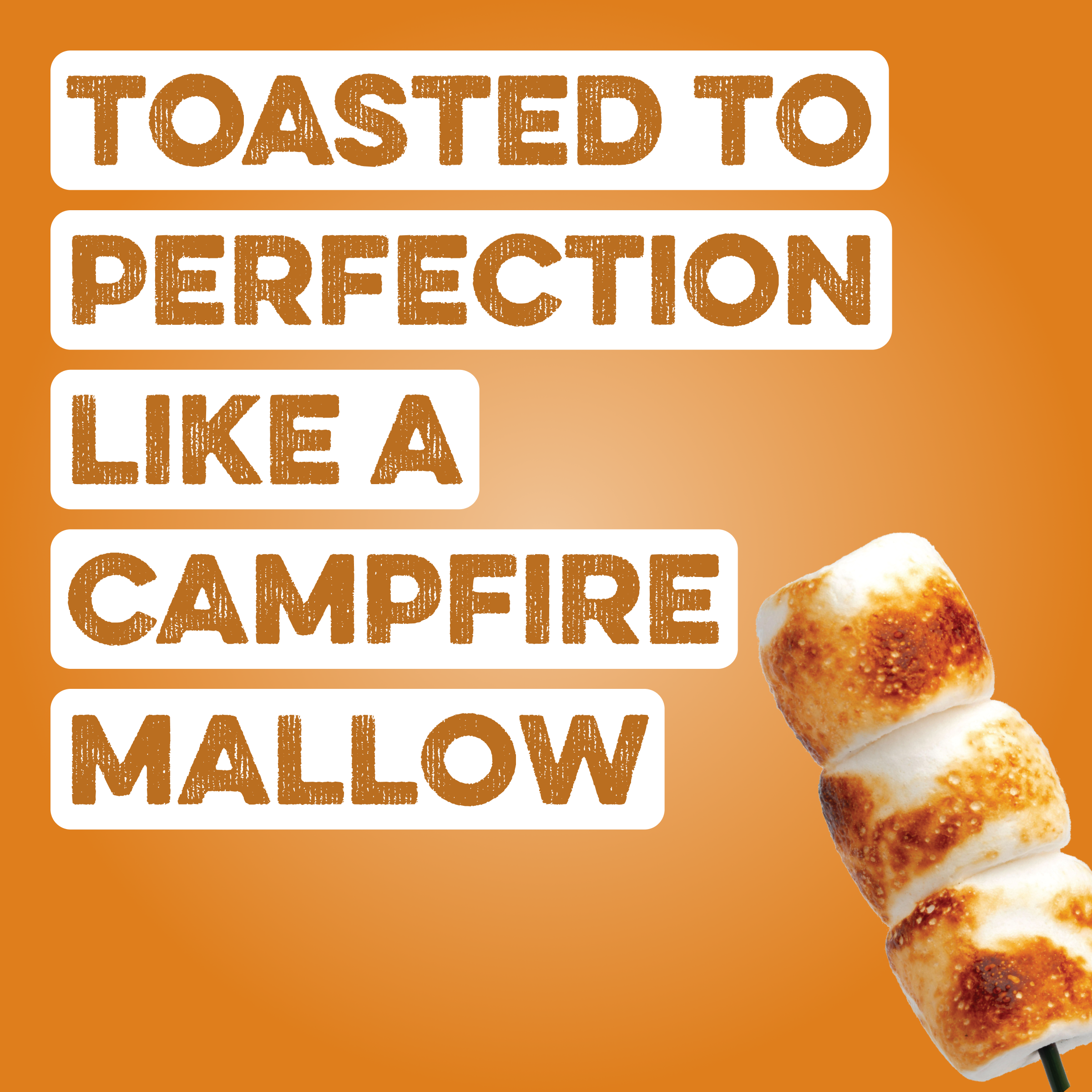 Protein Powder: Toasted Marshmallow (20 Serving Bag)