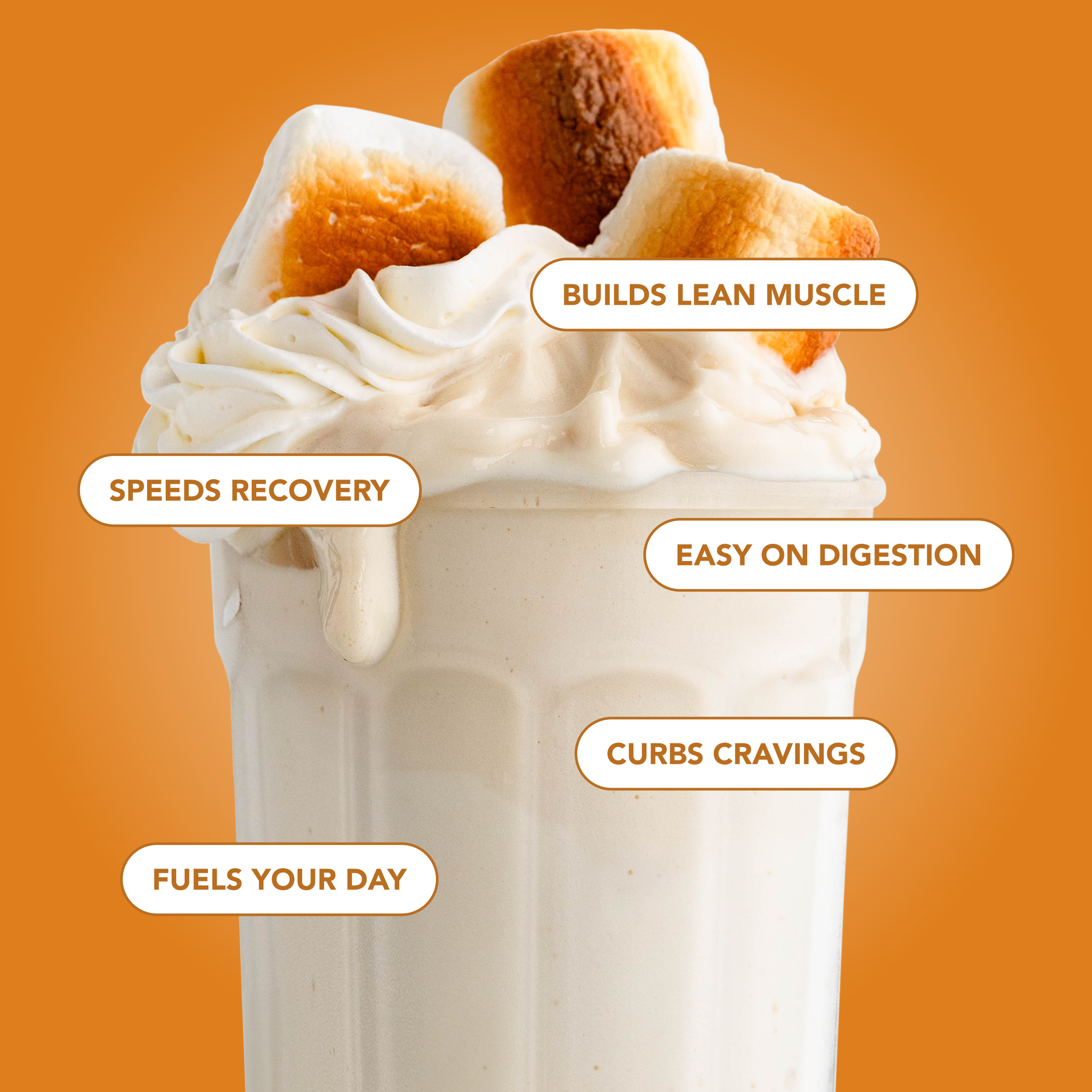 Protein Powder: Toasted Marshmallow (20 Serving Bag)