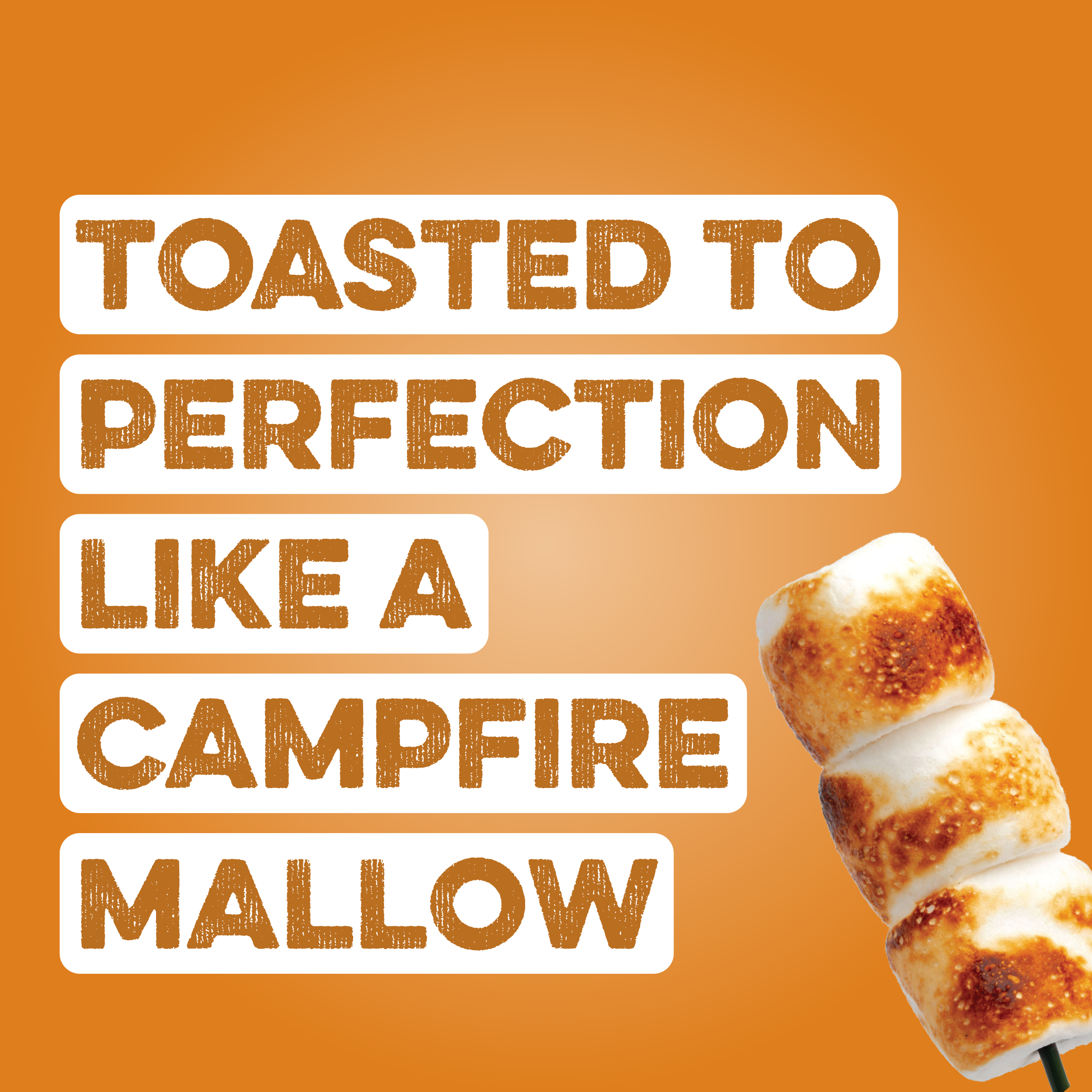 Protein Powder: Toasted Marshmallow (30 Serving)