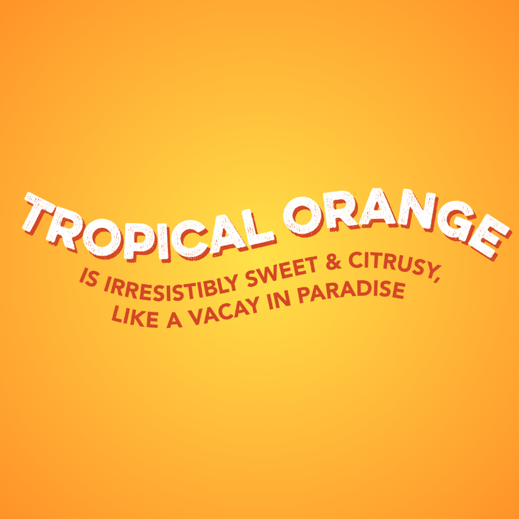 Clear Protein: Tropical Orange (12 Pack)