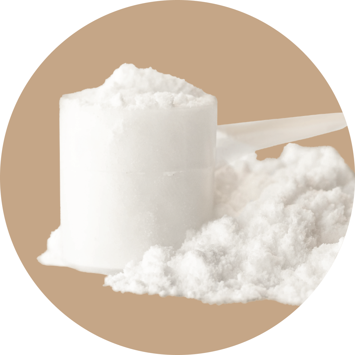Creatine + Glutamine: Unflavored (30 Serving Bag)