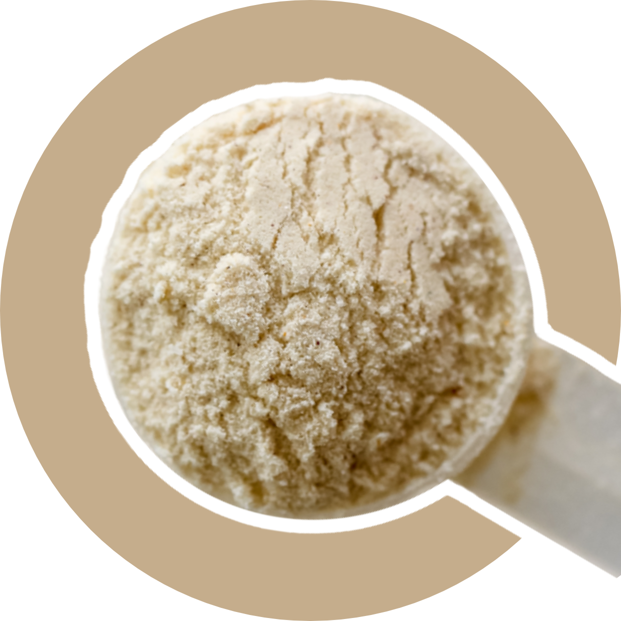 Collagen + Beauty Blend: Unflavored (10 Single Serving Stick Pack)