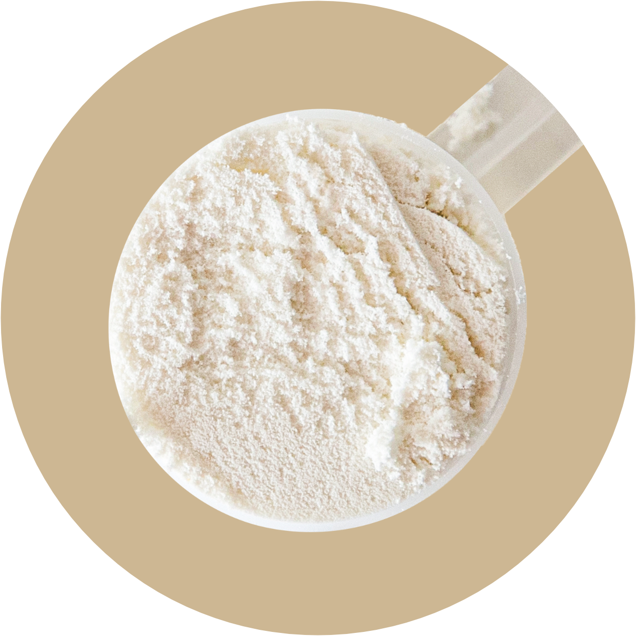 Protein Powder: Unflavored (30 Serving Bag)