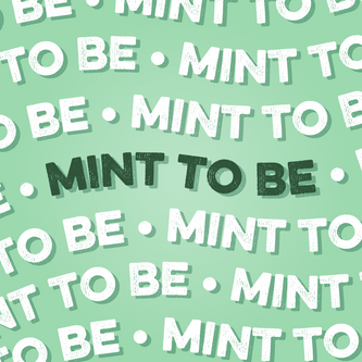 Protein Powder: Mint Chocolate Cookie (10 Single Serving Stick Packs)