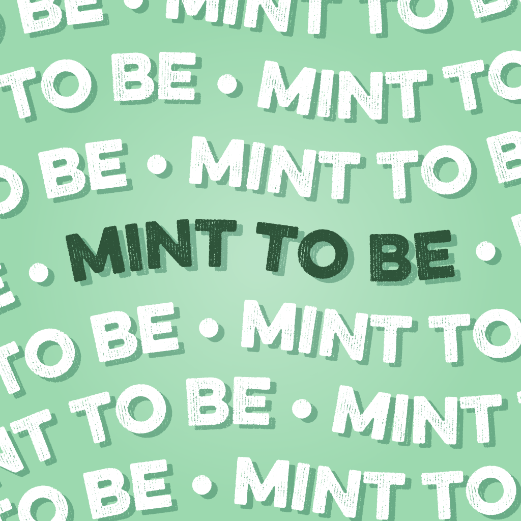 Protein Powder: Mint Chocolate Cookie (10 Single Serving Stick Packs)